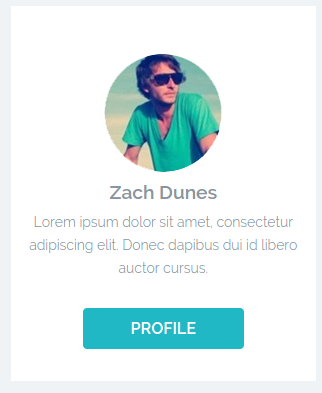 Kuva, missä näkyy yksittäinen Henkilö 'Zach Dunes', teksti 'Lorem ipsum dolor sit amet, (jne)' ja nappi 'Profile'