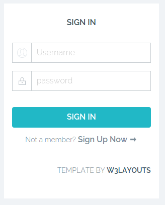 Kirjautumislomake. Otsikkona 'Sign in', jonka lisäksi lomakkeessa kaksi kenttää: 'username' ja 'password'. Näiden lisäksi lomakkeeseen liittyvä nappi 'Sign in'. Lomakkeen alapuolella on teksti 'Sign Up Now ->', joka on linkki.
